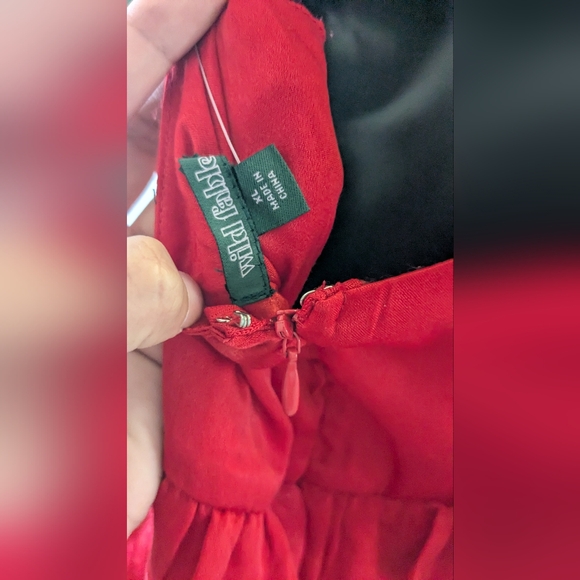 Red Rose Dress - Picture 6 of 6